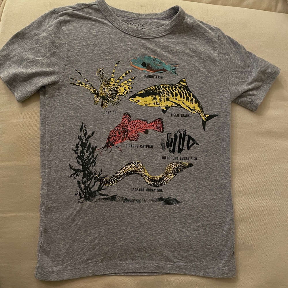 J crew Crewcuts Boys short sleeve T-shirt